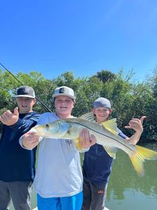 Kids fishing charters- Tampa Bay Snook